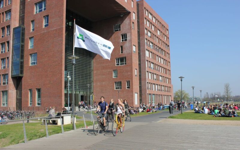 Wageningen University Scholarship in Netherlands for African Best Brains 2025 | Fully Funded