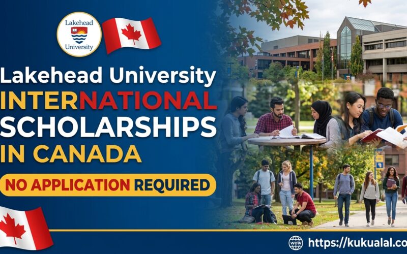 Lakehead University international scholarships